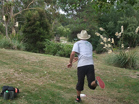 Disc Golf New Zealand